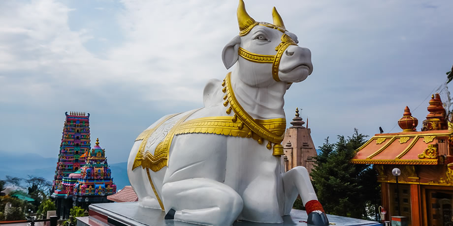 Statue of the sacred cow in Namchi Chardham in Sikkim, India