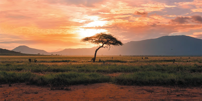 Golden sunset on the plains of Kenya