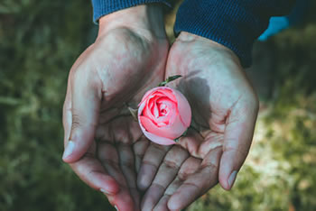 The world in the palm of hands