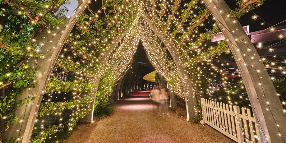 Christmas lights on arbor at Southbank in Brisbane, Australia