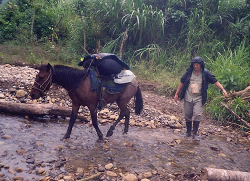 Traveling to a village