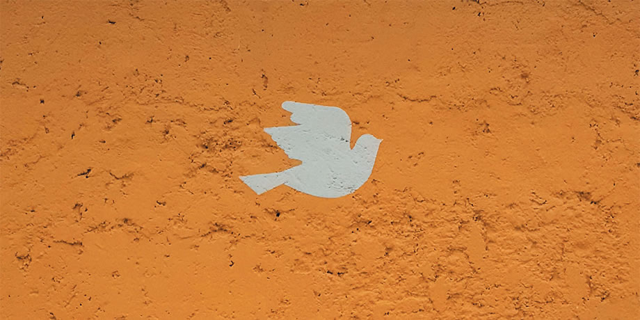 Bird icon on earthy background