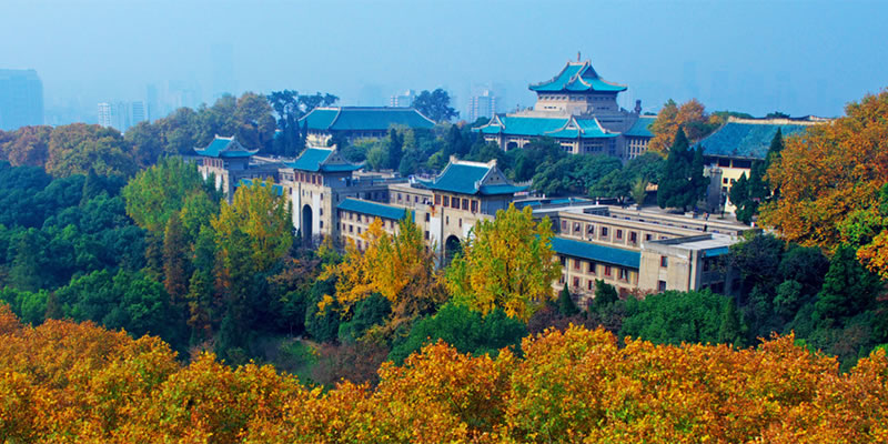 Wuhan University