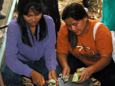 Preparing soap in entrepreneurship class