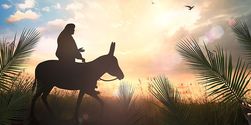 Jesus riding a donkey surrounded by palms