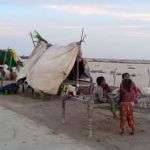 Families near their flooded homes with their livestock on the roadside.