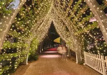 Christmas lights on arbor at Southbank in Brisbane, Australia