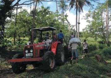 At Tutu young farmers must plant a set number of yangona plants (which is much in demand as a non-alcoholic social drink) each year.